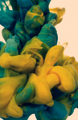 Illustration for article titled Can you guess the subject of this photograph?